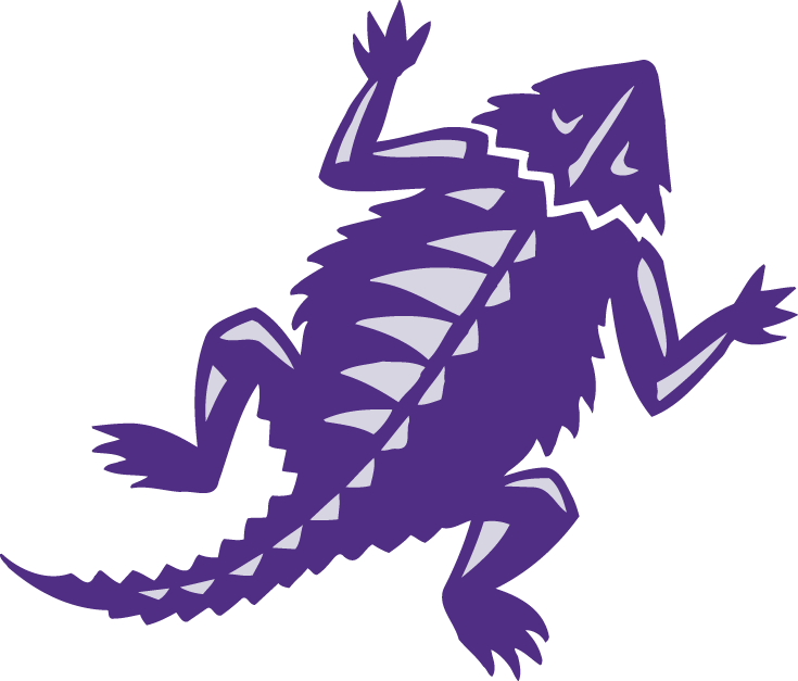 TCU Horned Frogs 2001-Pres Alternate Logo diy fabric transfers